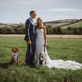Bride and groom with dogs in wedding outfits